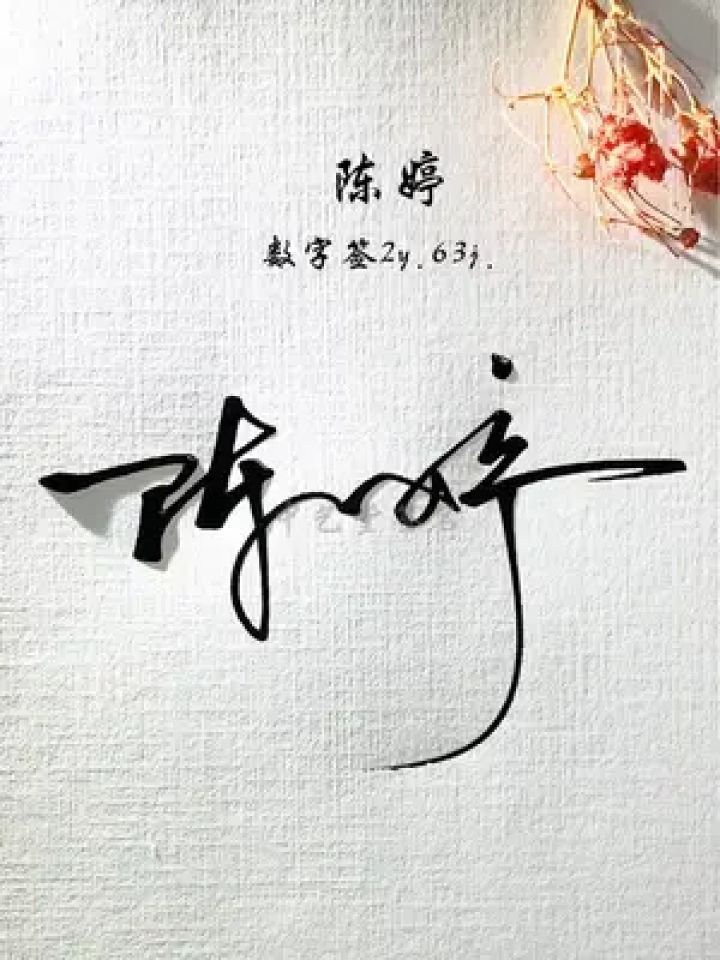 签名就用简单又漂亮的方式来表达 陈婷,数字签2y.63j.