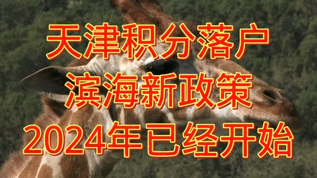 天津滨海新政策2024年