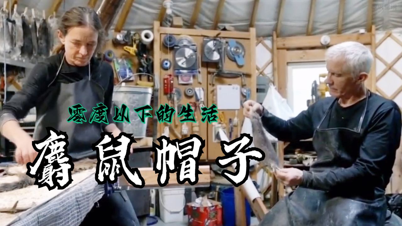 零度以下的生活:猎人安迪抓捕七只麝鼠为女友制作一顶麝鼠帽子