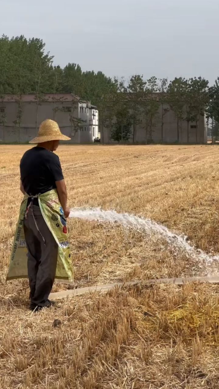 干旱下雨图片