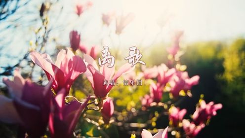 信乐团《离歌》:歌依旧陪着哥,哥依旧喜欢这歌!让我们珍惜这些陪伴我们走过青春岁月的歌曲吧!让它们继续陪伴我们走过未来的岁月,见证我们的成长和 ...