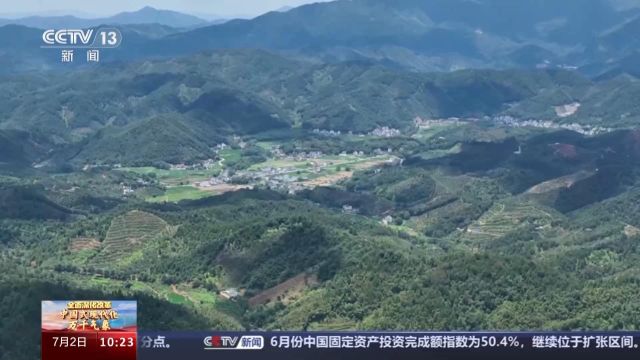 从“上山伐木”到“林下经济” 林地资源他们这样盘活