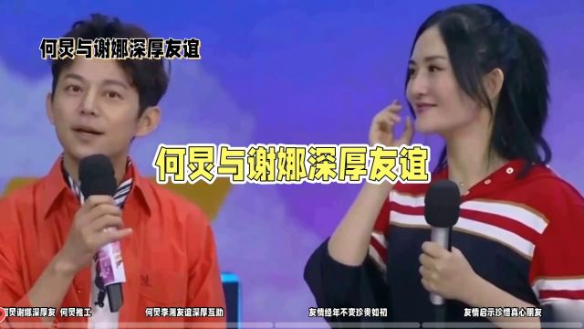 何炅谢娜:娱乐圈的温暖友情之光