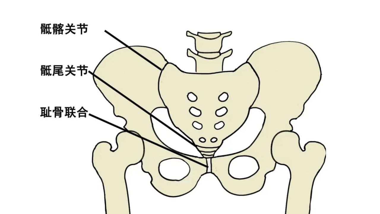 怀孕骨头痛,走不了路?当心宝妈"天敌"——耻骨联合分离