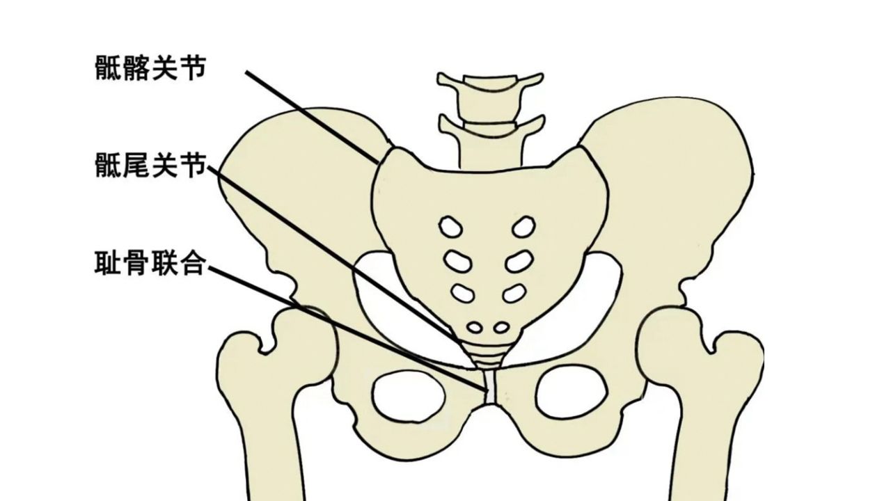 怀孕骨头痛,走不了路?当心宝妈天敌——耻骨联合分离