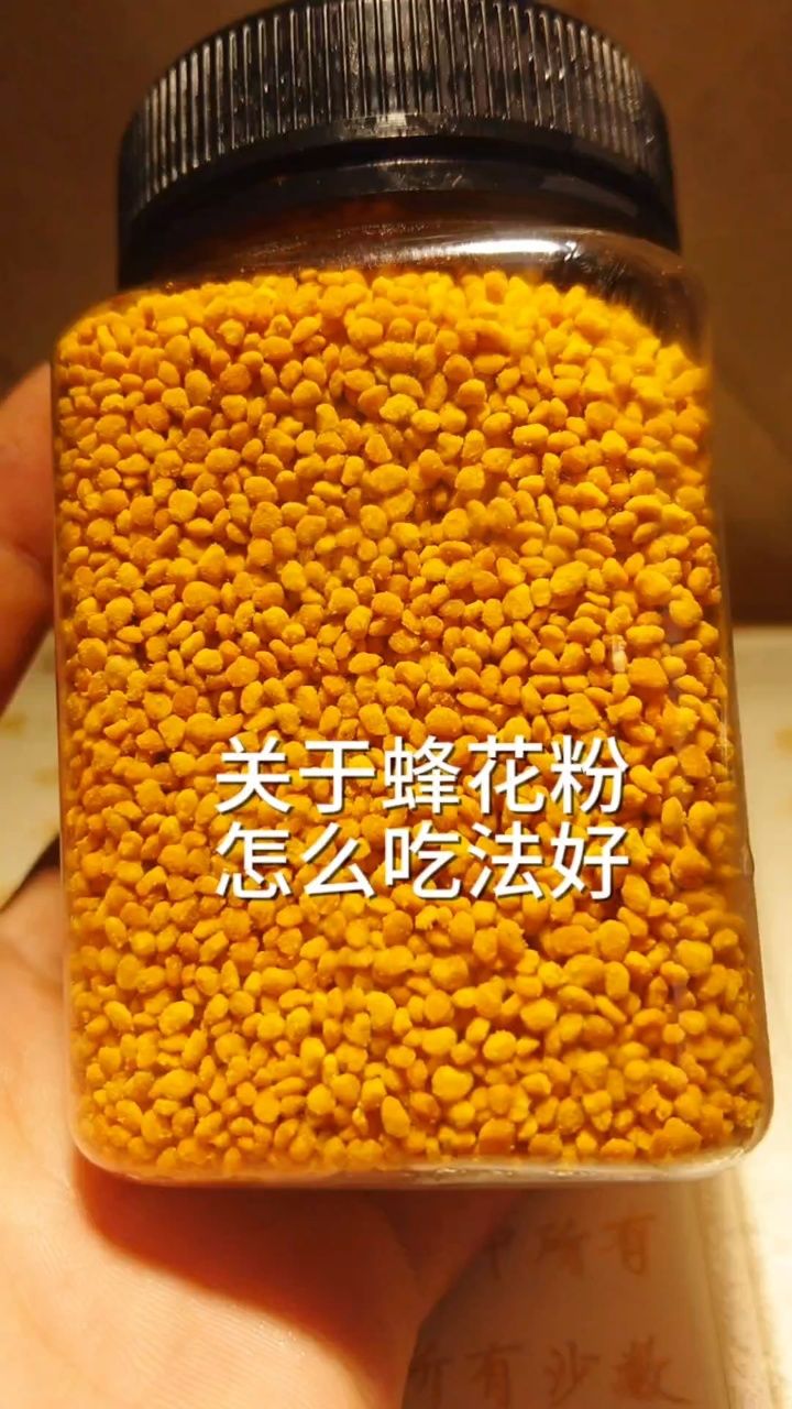 蜜蜂是昆虫吗花粉图片