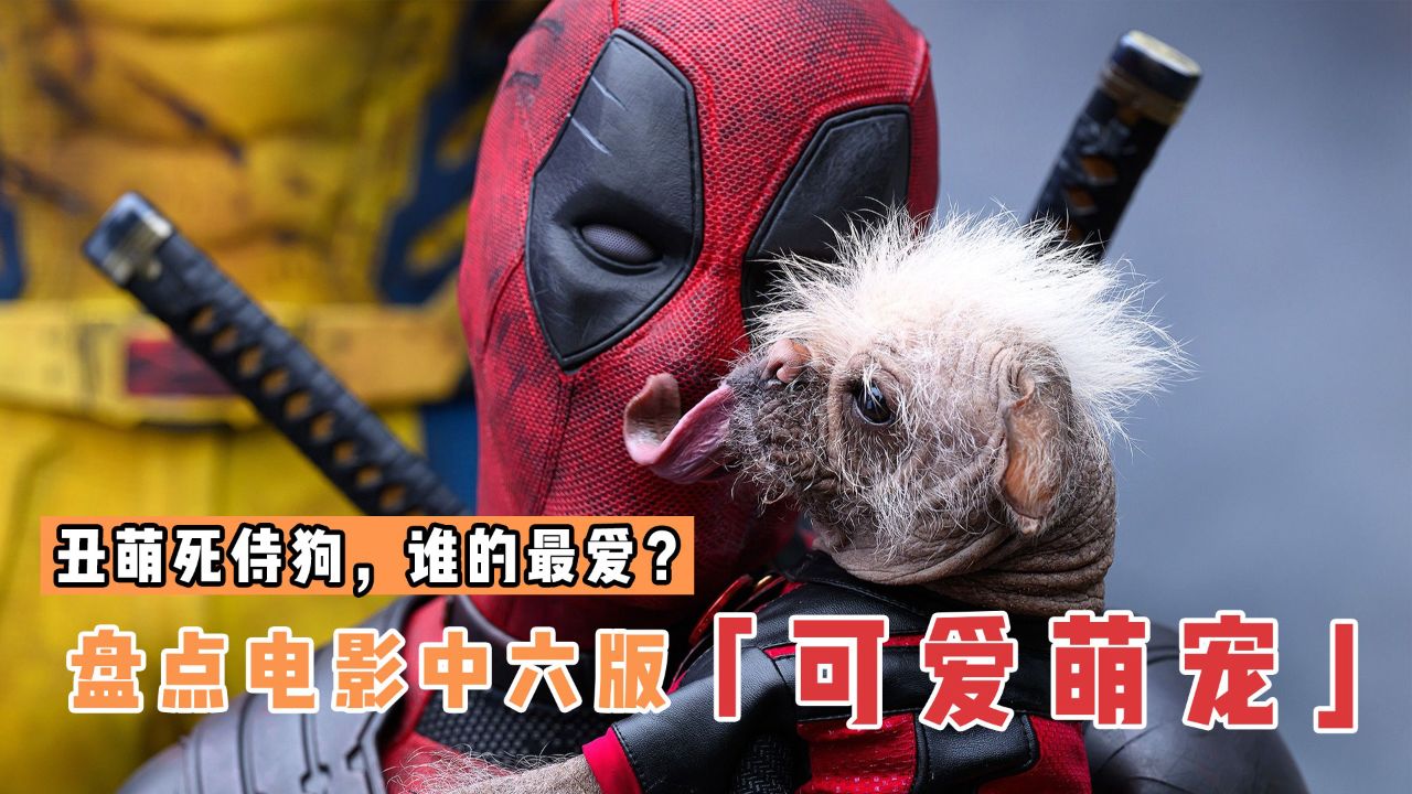 盘点电影里6版可爱萌宠，你喜欢哪一个？丑萌死侍狗，全剧颜值地板砖_高清1080P在线观看平台_腾讯视频