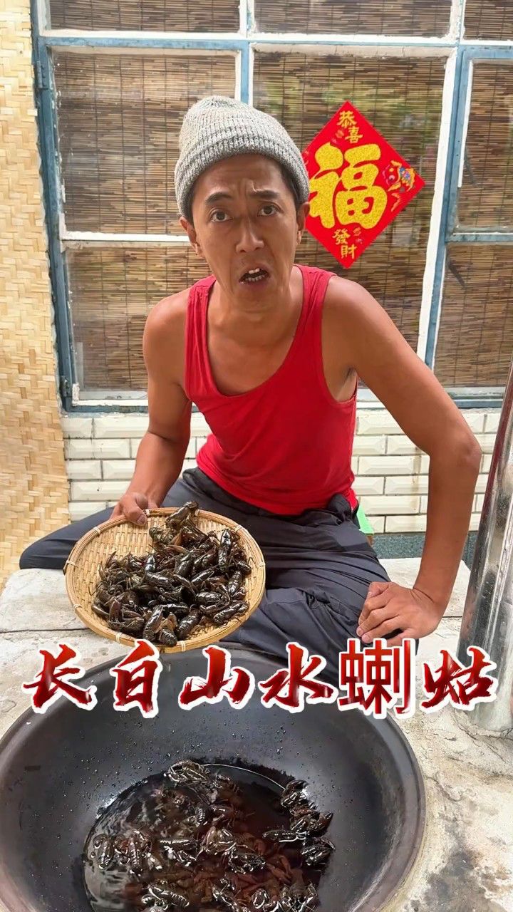 长白山水蝲蛄,号称天下第一鲜.#乡村守护人 #农村美食