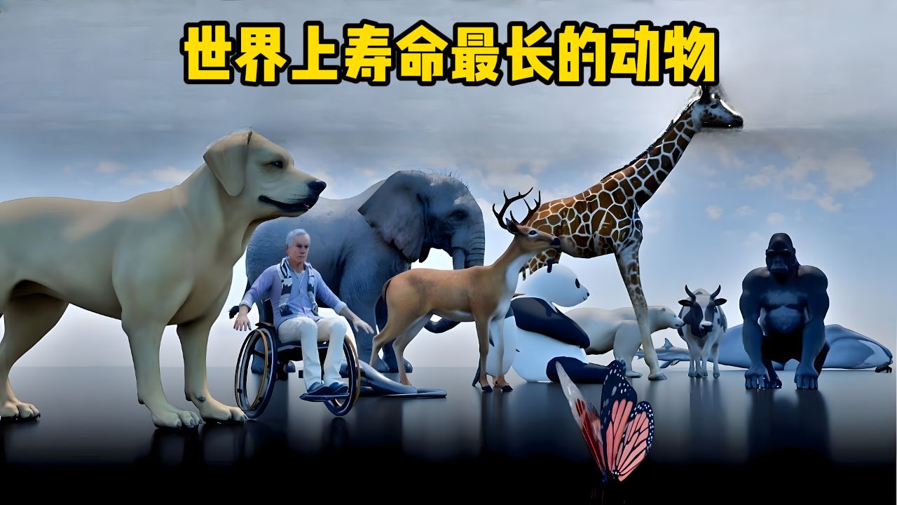 世界最长寿的五种动物