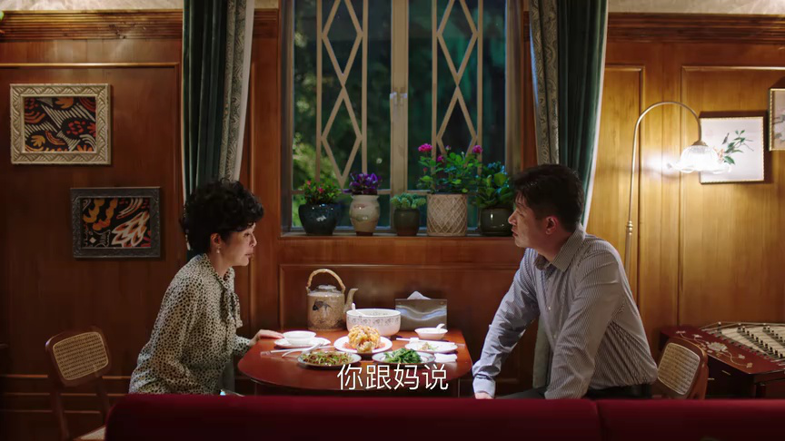 此心安处是吾乡[卫视版] 12集