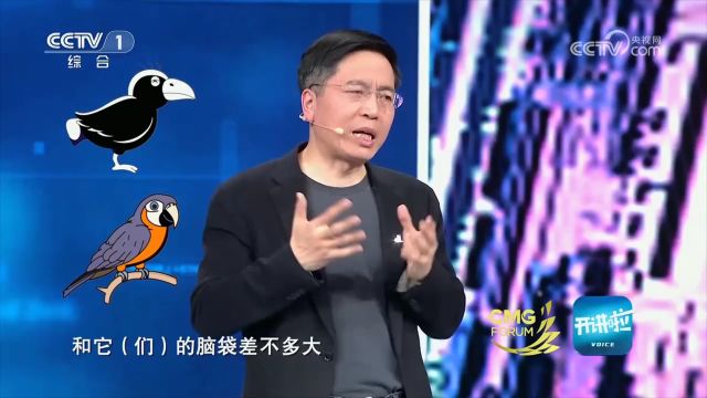 朱院长谈大数据,无法实现“像人一样的”人工智能