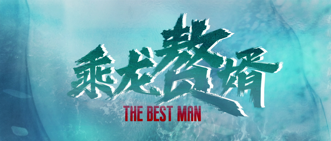 乘龙赘婿 8集