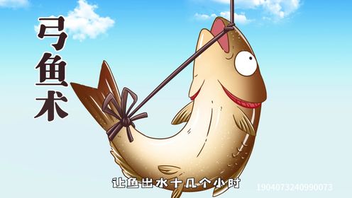 弓鱼_33_少儿_动画片大全_腾讯视频