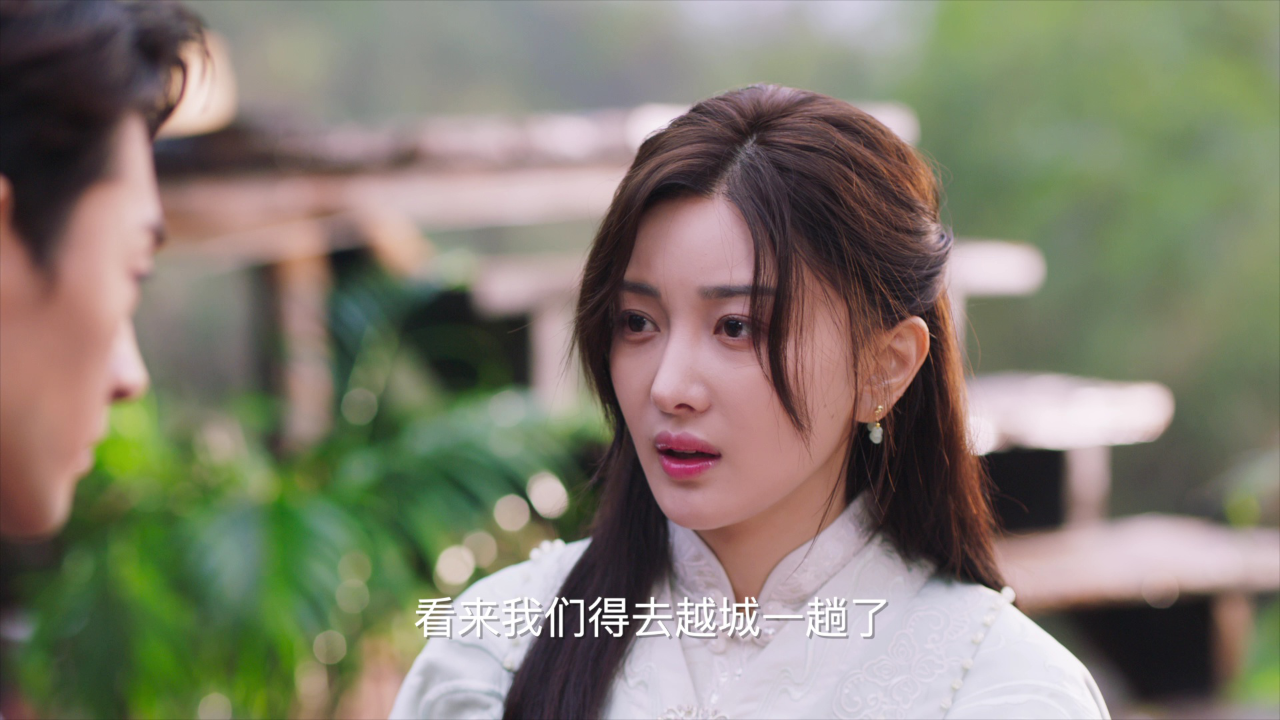 连理刺客 24集