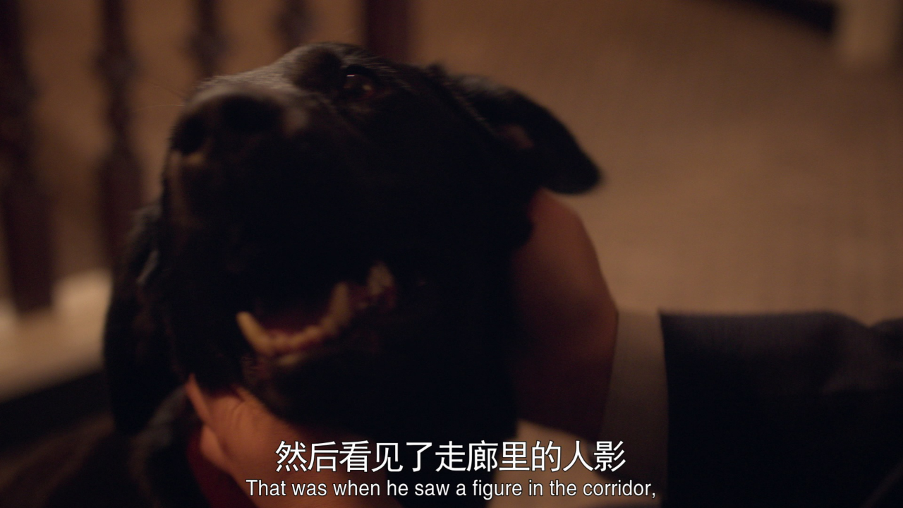 猫头鹰谋杀案（Moonflower Murders） 5集