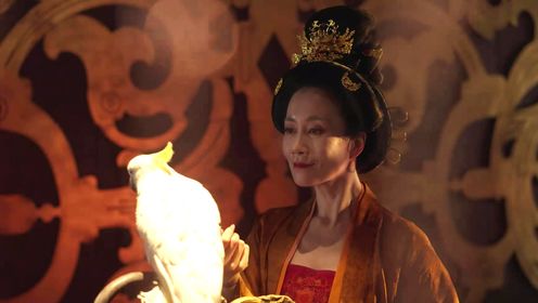 凤凰:她的传奇_武则天创“曌”字为名,她的野心有多大?_腾讯视频