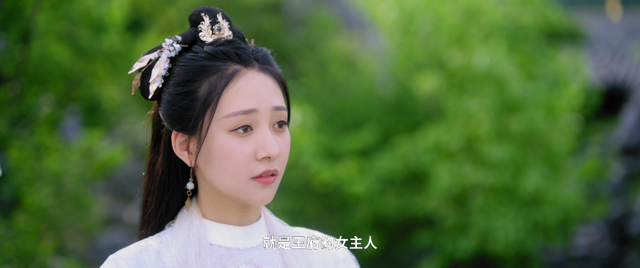涅槃郡主 3集
