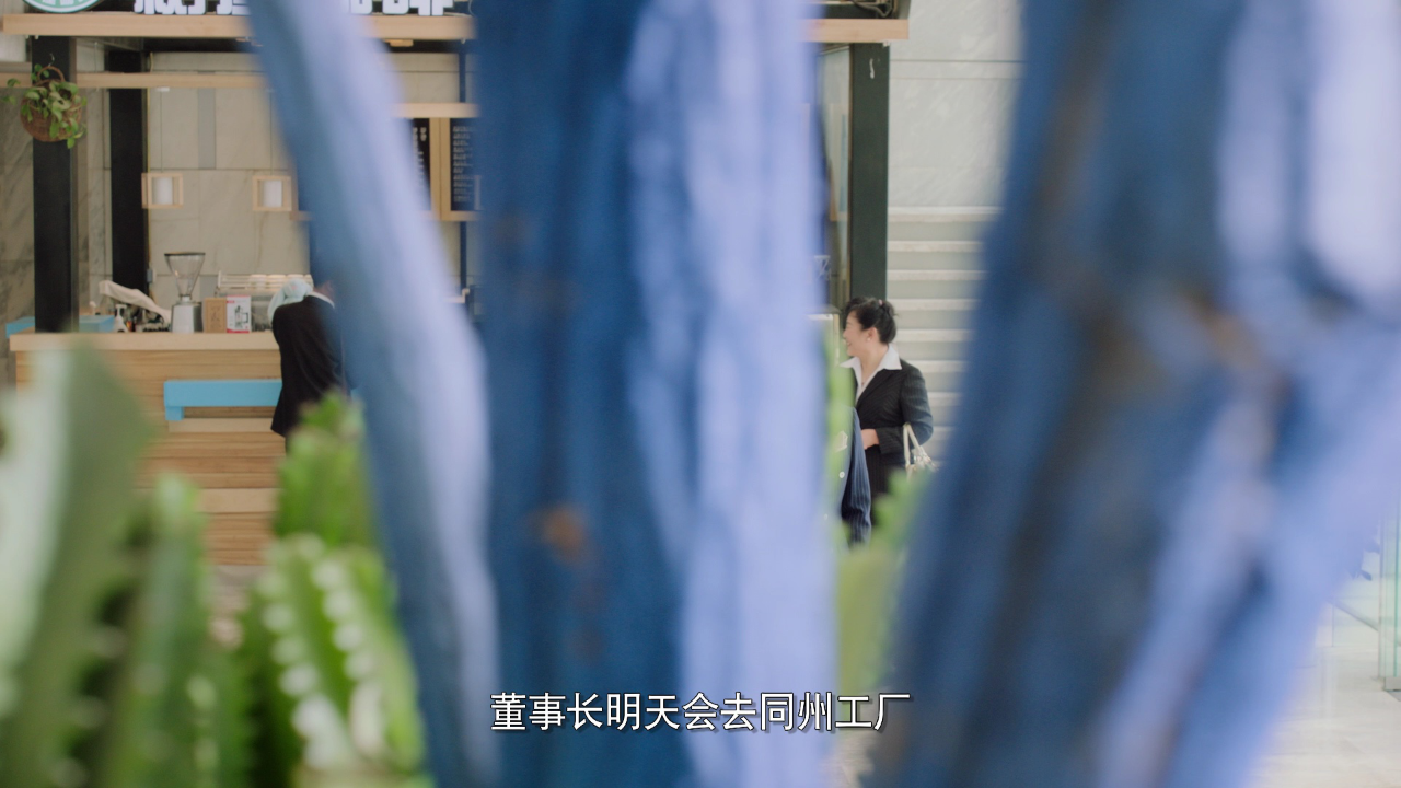 心不由己 10集