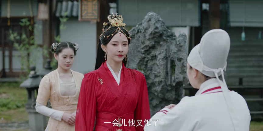 与凤飞 13集
