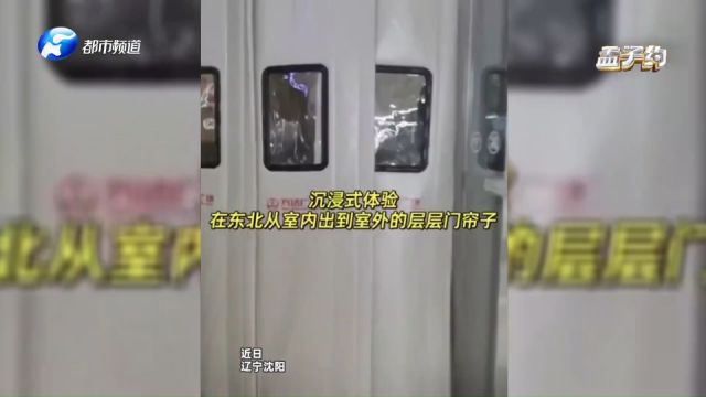 东北出商场要过5道防风帘,网友:这阵法,冷空气来了也得迷路