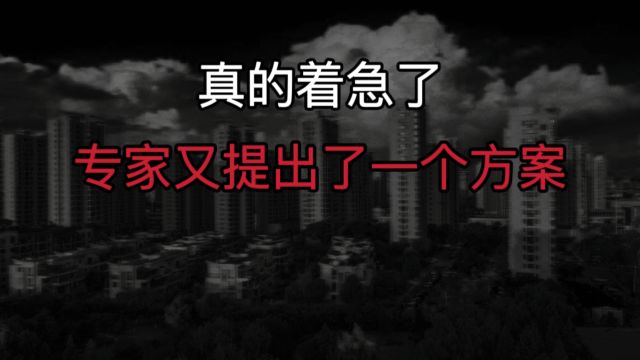 关于楼市,专家提出一个“新方案”