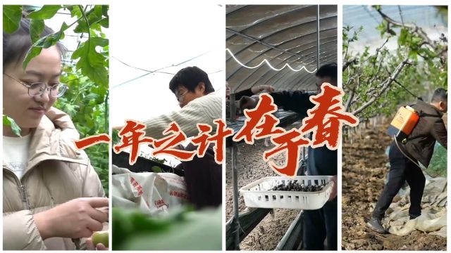 一年春作首 万事行为先|齐鲁样板提档升级,离不开每个人的努力!