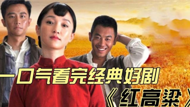 豆瓣8.3,一口气看完一代神作《红高梁》全集!莫言看了流泪