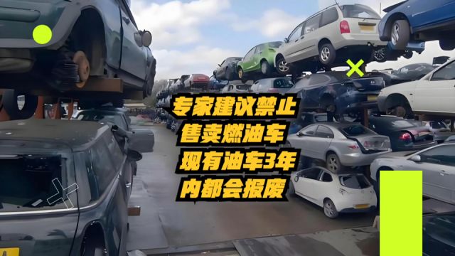 专家建议禁止售卖燃油车,现有油车3年内都会报废