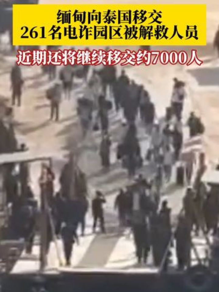 2月12日，缅甸向泰国移交261名电诈园区被解救人员，近期还将向泰方继续移交约7000名电诈园区人员！_高清