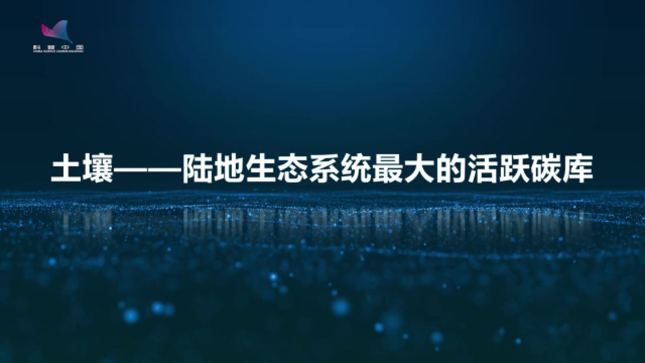 冯晓娟:土壤——陆地生态系统最大的活跃碳库_高清1080P在线观看平台_腾讯视频