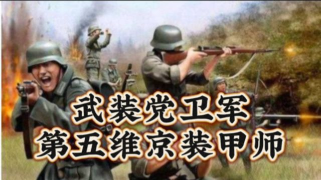 武装党卫军,第五维京装甲师!