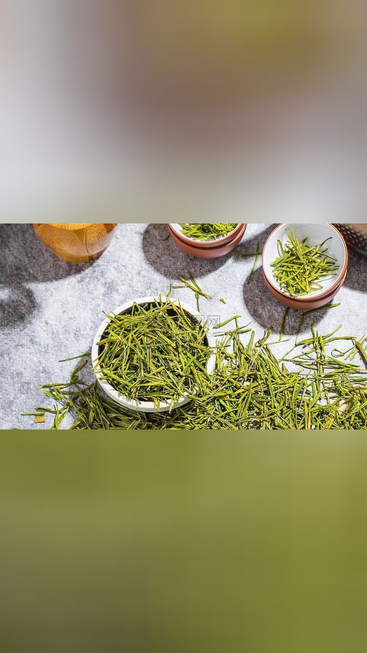 安吉白茶有多香?土库曼斯坦留学生连说三个"特别的好"