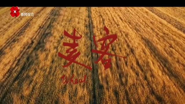 小麦客展现大精神 电影《麦客》全国首映