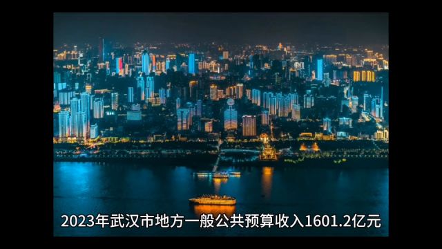 2023年武汉各地财政收入表现,汉南总量保持领先,新洲增速出色