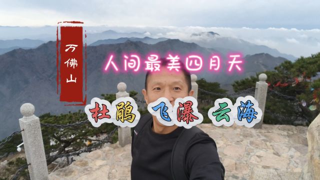 安徽万佛山,杜鹃花、幽谷飞瀑和云海,这才是最美人间四月天