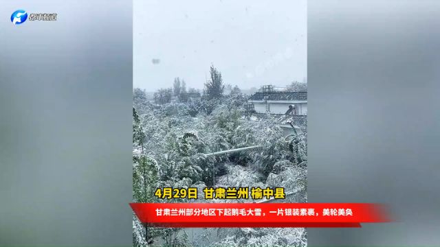 甘肃兰州部分地区下起鹅毛大雪,一片银装素裹,美轮美奂