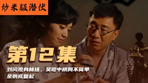 炒米版《潜伏》续集12:刘闪现身林场,吴敬中棋局不简单,余则成复起_高清1080P在线观看平台_腾讯视频