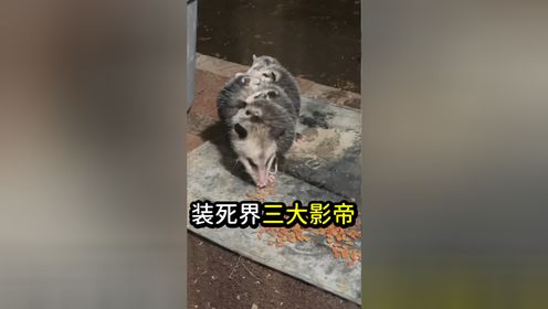 腾讯视频