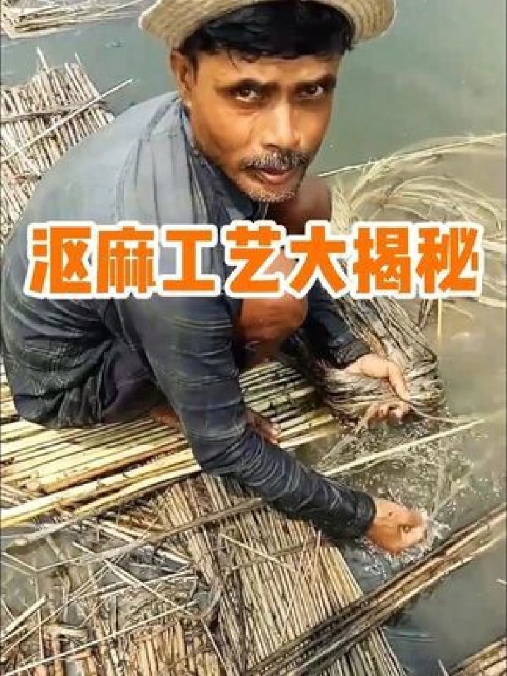 涨知识!黄麻秆的华丽变身,沤麻工艺大揭秘_高清1080P在线观看平台_腾讯视频