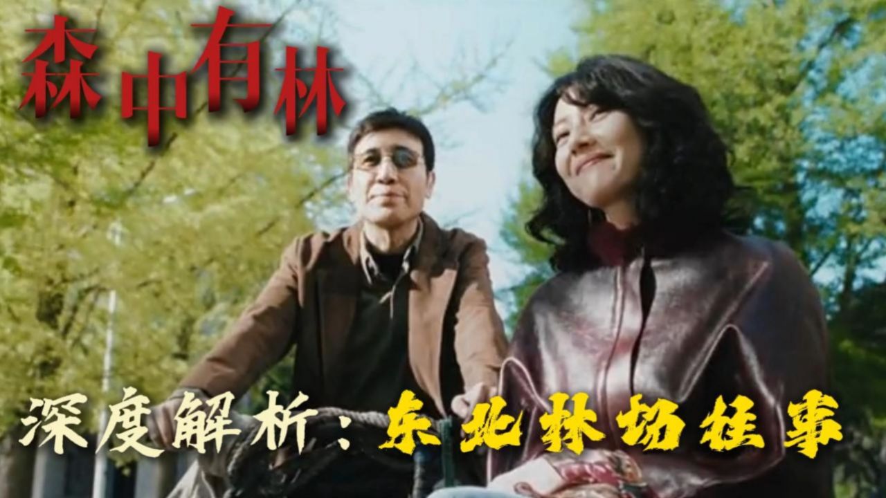 《森中有林》定档五一于和伟高圆圆爱人变仇人以命抵命_电影_高清完整版视频在线观看_腾讯视频