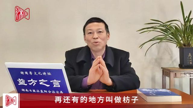 益方之言82|晓得“函子”含义的,都是相当资深的益阳人