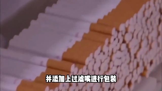 烟草的制作过程你见过吗?绝对让你大开眼界!烟草科普涨知识