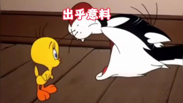 坏猫意外成为了好猫