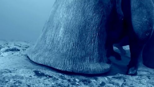 冥王星为何如此恐怖?在它上面发现的巨型蜗牛是真的吗