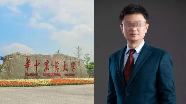 华中农大学术造假背后:导师曾叫嚣“我背后有学校年薪50万的律师团”