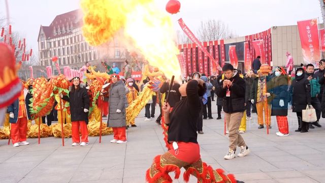 山东开启文旅春节档喊你来过年!高青黑牛被县委书记倾情推介