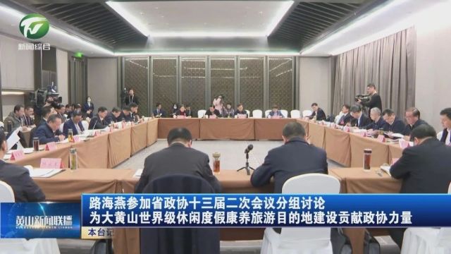 路海燕参加省政协十三届二次会议分组讨论