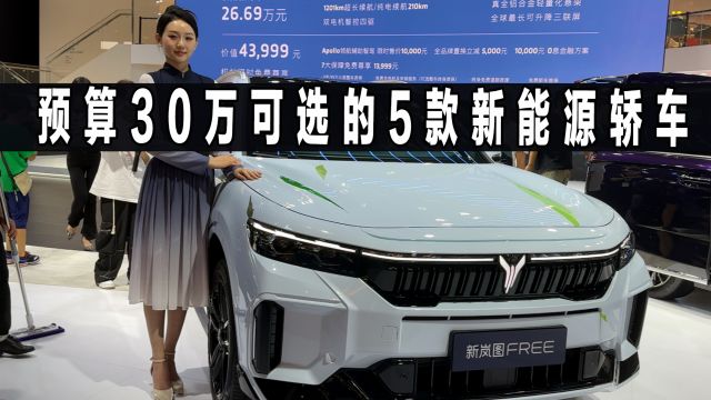 预算30万,新能源轿车,选这5款