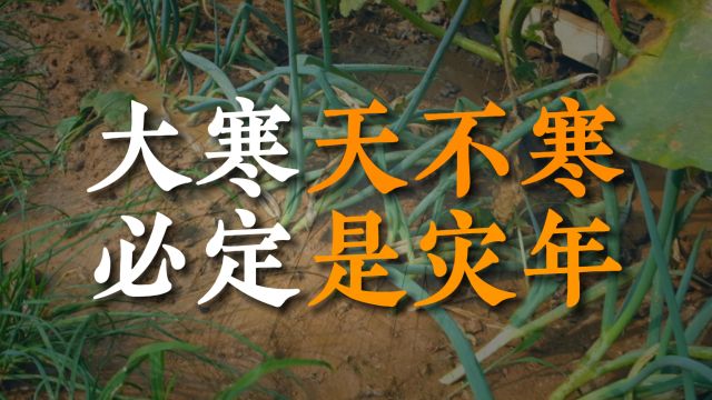 “大寒天不寒,必定是灾年”,今年是灾年?看看老祖宗怎么说的