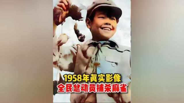 1958年珍贵历史影像,全民总动员除四害捕杀麻雀